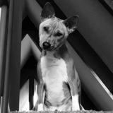 Entry image for Loki