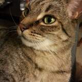 Entry image for Monster