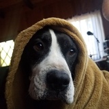 Entry image for Atlas 