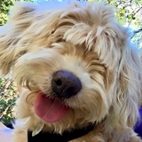 Entry image for Ella Bella