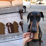 Entry image for Bella