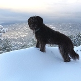 Entry image for Lucia