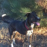 Entry image for Boots