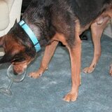 Entry image for Tycho