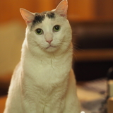 Entry image for Riddle