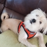 Entry image for Eddie