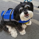 Entry image for Capt. Max