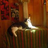 Entry image for Roky Erickson