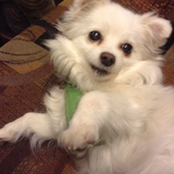 Entry image for Emma