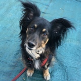 Entry image for Stoli O’Rocks