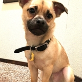 Entry image for Jack "Puppin" Randall