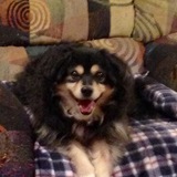 Entry image for Bailey