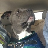 Entry image for Mustang Sally