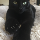 Entry image for Hershey