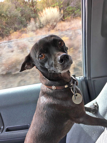 Entry image for Houston. Clicking this image will show a larger photo