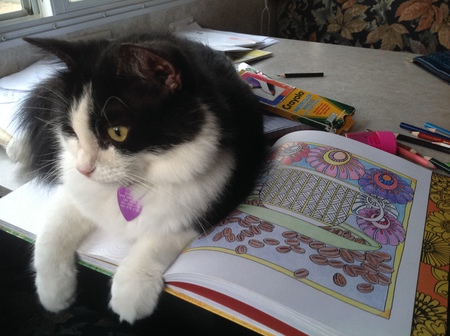 Entry image for Charlie . Clicking this image will show a larger photo