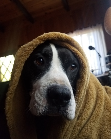 Entry image for Atlas . Clicking this image will show a larger photo