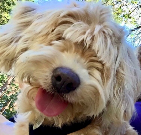 Entry image for Ella Bella. Clicking this image will show a larger photo