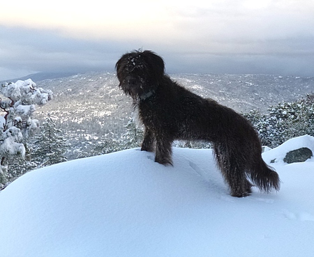 Entry image for Lucia. Clicking this image will show a larger photo