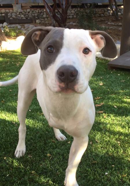 Entry image for Idy. Clicking this image will show a larger photo