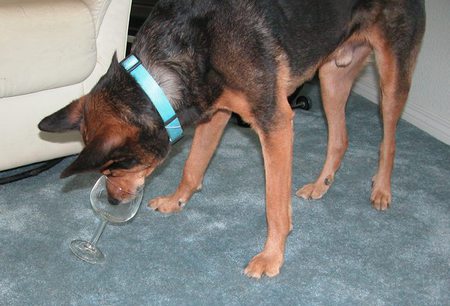 Entry image for Tycho. Clicking this image will show a larger photo