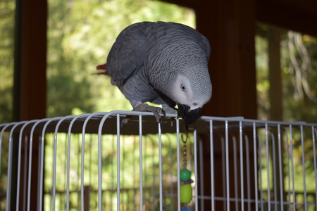 Entry image for Max. Clicking this image will show a larger photo