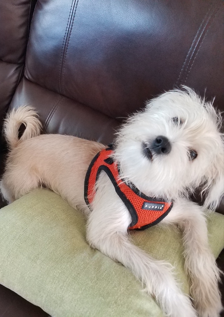 Entry image for Eddie. Clicking this image will show a larger photo