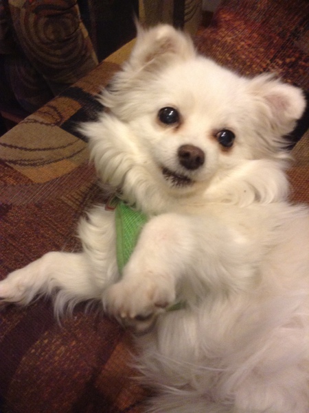 Entry image for Emma. Clicking this image will show a larger photo