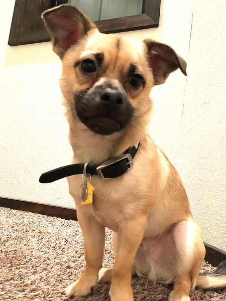 Entry image for Jack "Puppin" Randall. Clicking this image will show a larger photo