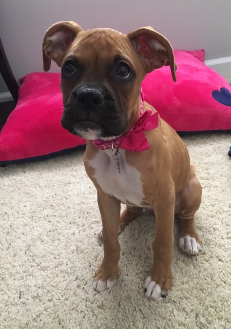 Mia 