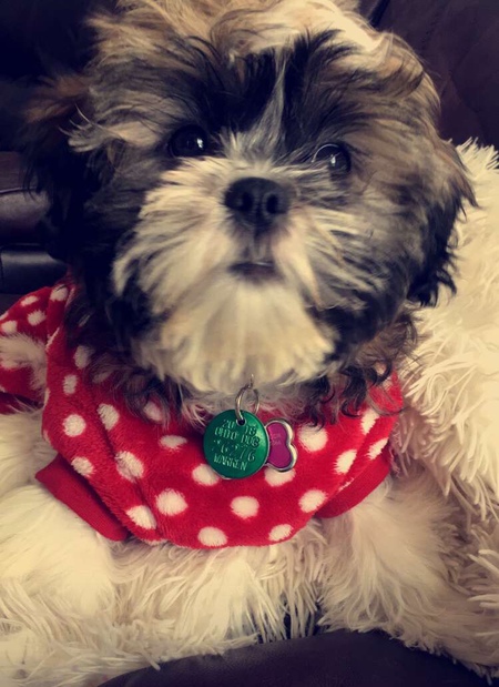 Sweetpea 