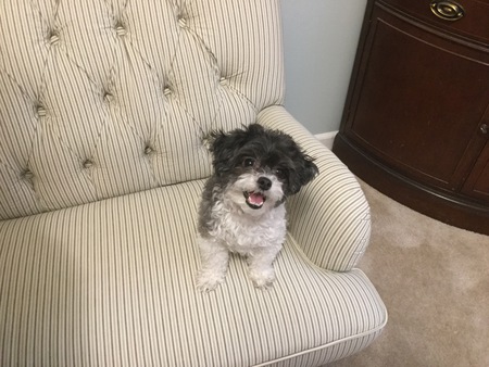 Sophie