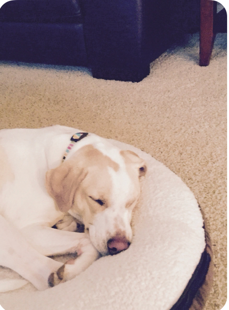 Maggie