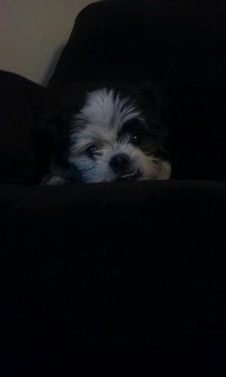 Bigsby