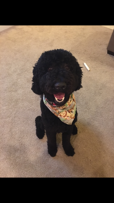 Zeke