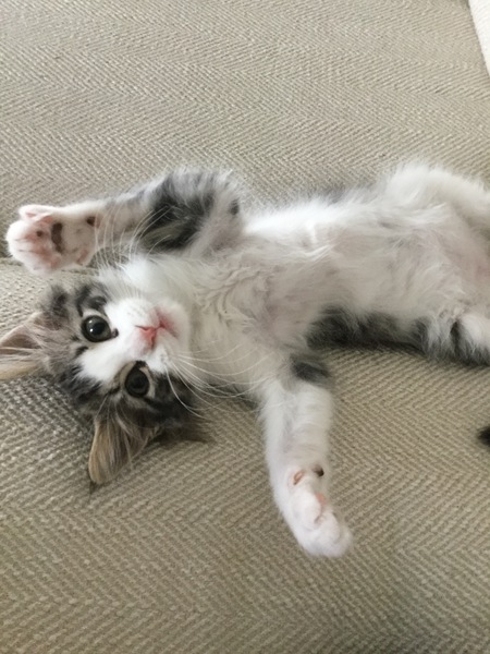 Leonard