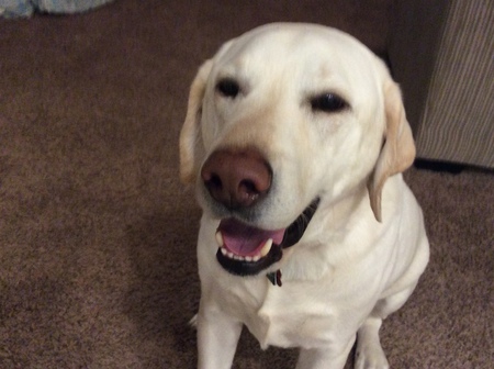 Jake