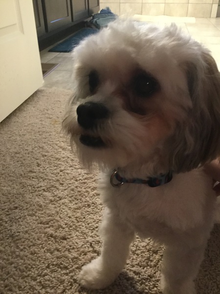 Eddie