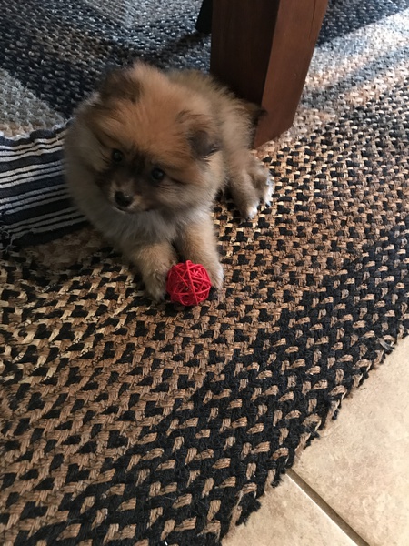 Ruby