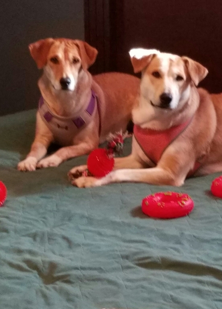 Lucy and Lily