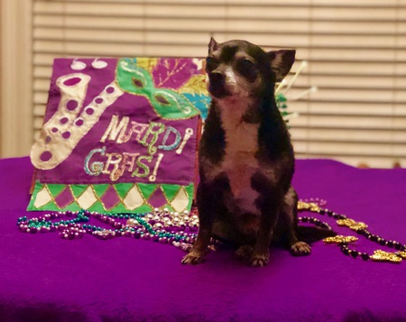 Zorro