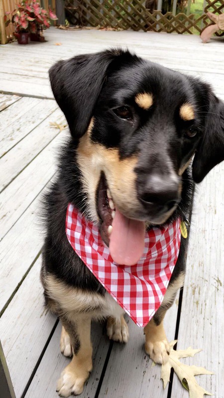 Sammy
