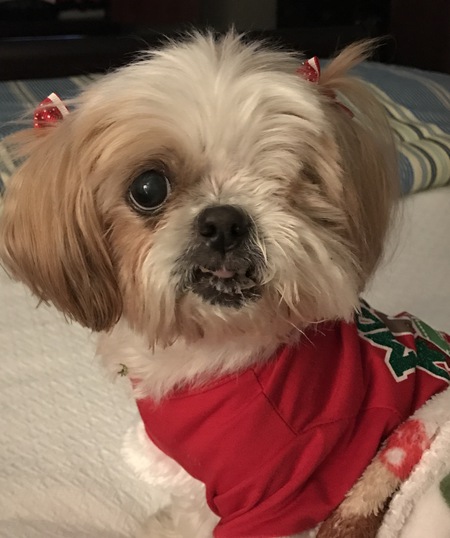 Maggie