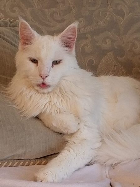 Malachi
