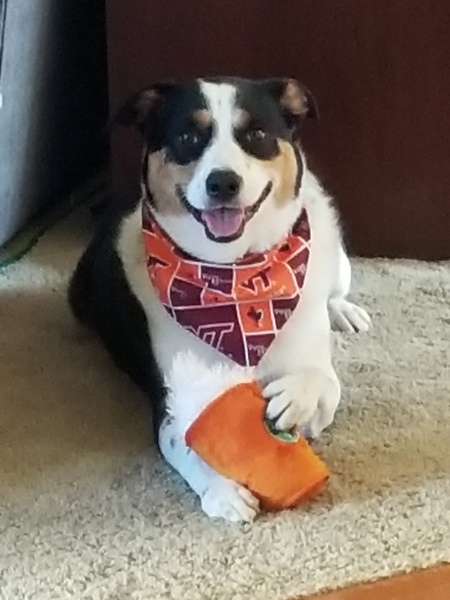 WATSON