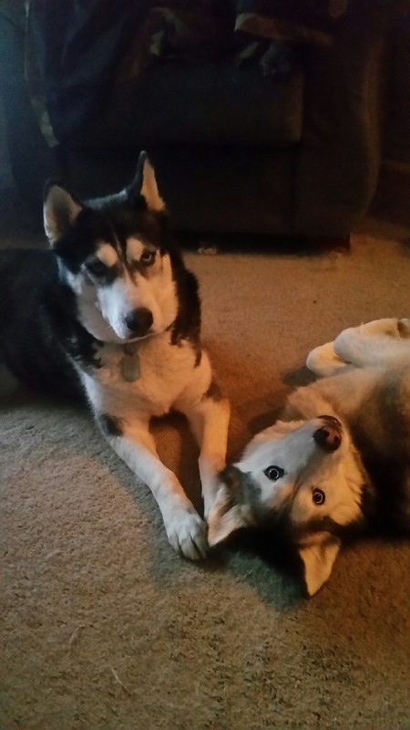 Jake & Jenna