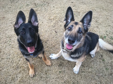 Riggins & Heidi