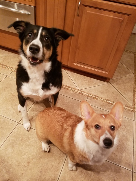 Chloe and Addy