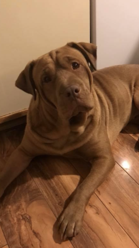 Penny