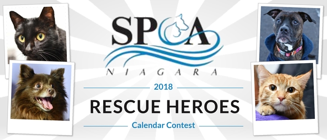 Niagara County SPCA Niagara SPCA's Rescue Heroes Calendar Contest